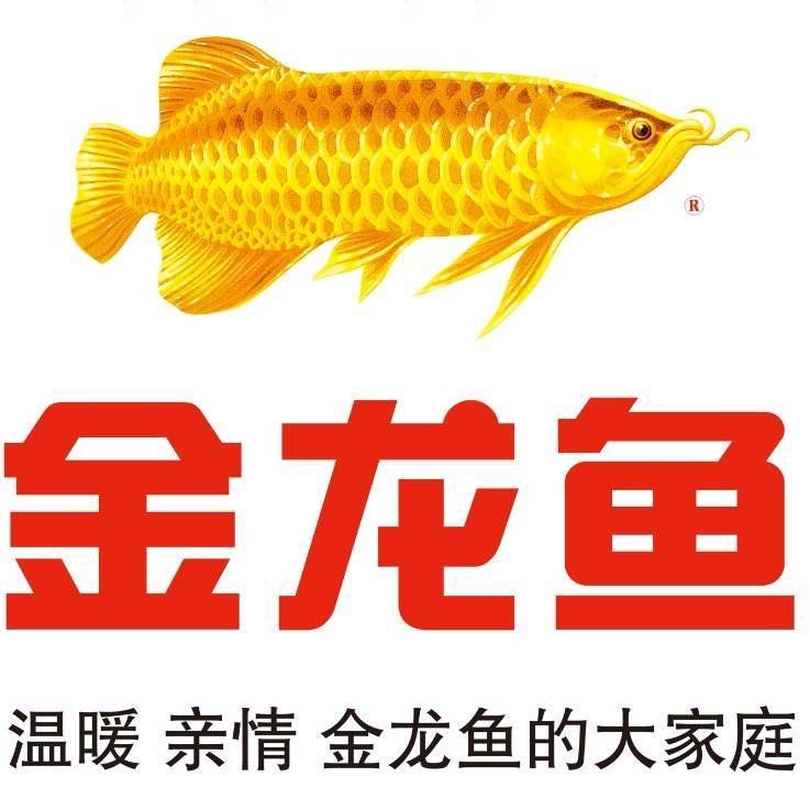 金龍魚質量檢驗崗位職責：金龍魚質檢員職業發展路徑金龍魚質檢員職業發展路徑 金龍魚質量檢驗崗位職責：金龍魚質檢員職業發展路徑金龍魚質檢員職業發展路徑 龍魚百科 第2張