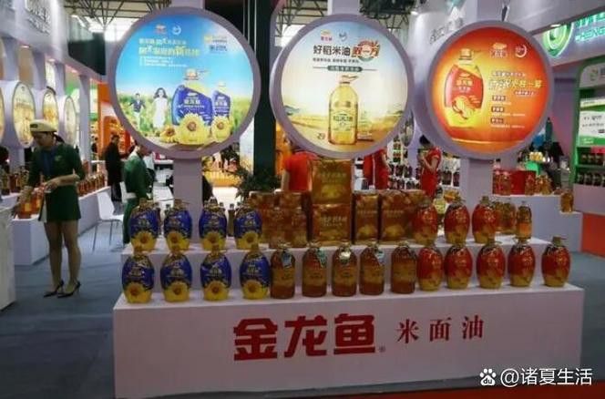 金龍魚不吃食會自愈嗎？