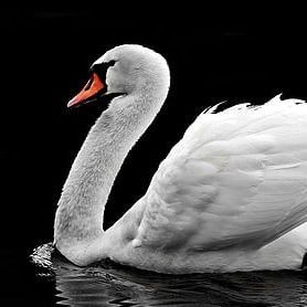 魚缸最佳尺寸一覽表