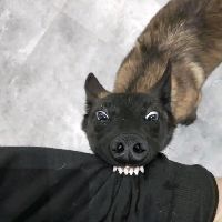 魚缸最佳尺寸一覽表