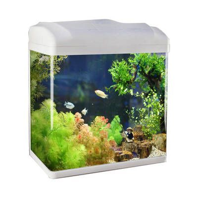 小魚缸多錢（超白玻璃魚缸與玻璃對比塑料魚缸適用環(huán)境多功能魚缸購買指南）