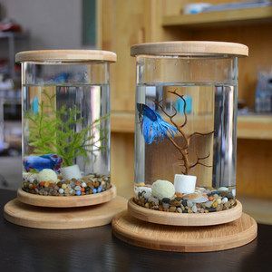 小魚缸多錢（超白玻璃魚缸與玻璃對比塑料魚缸適用環(huán)境多功能魚缸購買指南）
