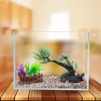 小魚缸多錢（超白玻璃魚缸與玻璃對比塑料魚缸適用環(huán)境多功能魚缸購買指南）