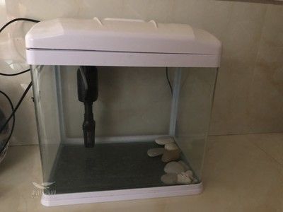 小魚缸多錢（超白玻璃魚缸與玻璃對比塑料魚缸適用環(huán)境多功能魚缸購買指南）