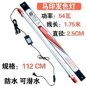 金龍魚用什么燈烤（觀賞魚金龍魚的飼養(yǎng)技巧金龍魚烤色的烹飪方法） 金龍魚用什么燈烤（觀賞魚金龍魚的飼養(yǎng)技巧金龍魚烤色的烹飪方法） 龍魚百科 第5張