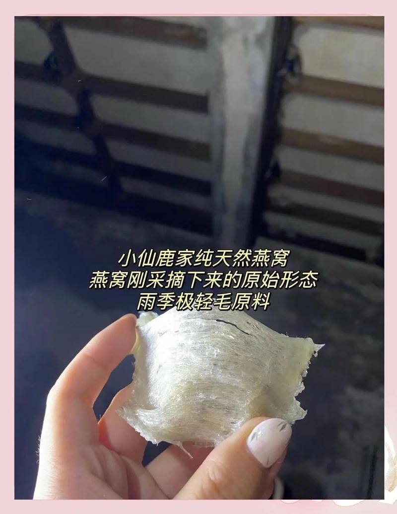馬印燕屋燕窩