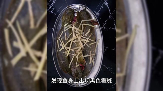 龍魚背上黑霉如何治療最有效？