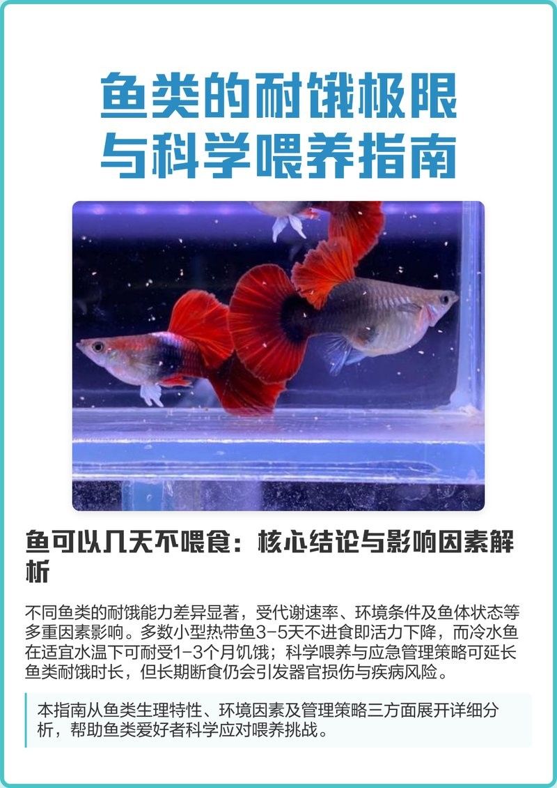 龍魚可以餓多久