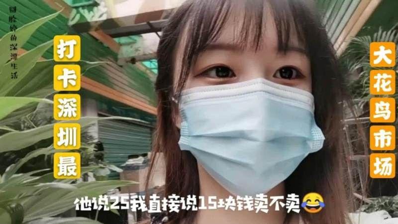 哪里買金龍魚苗實惠又便宜