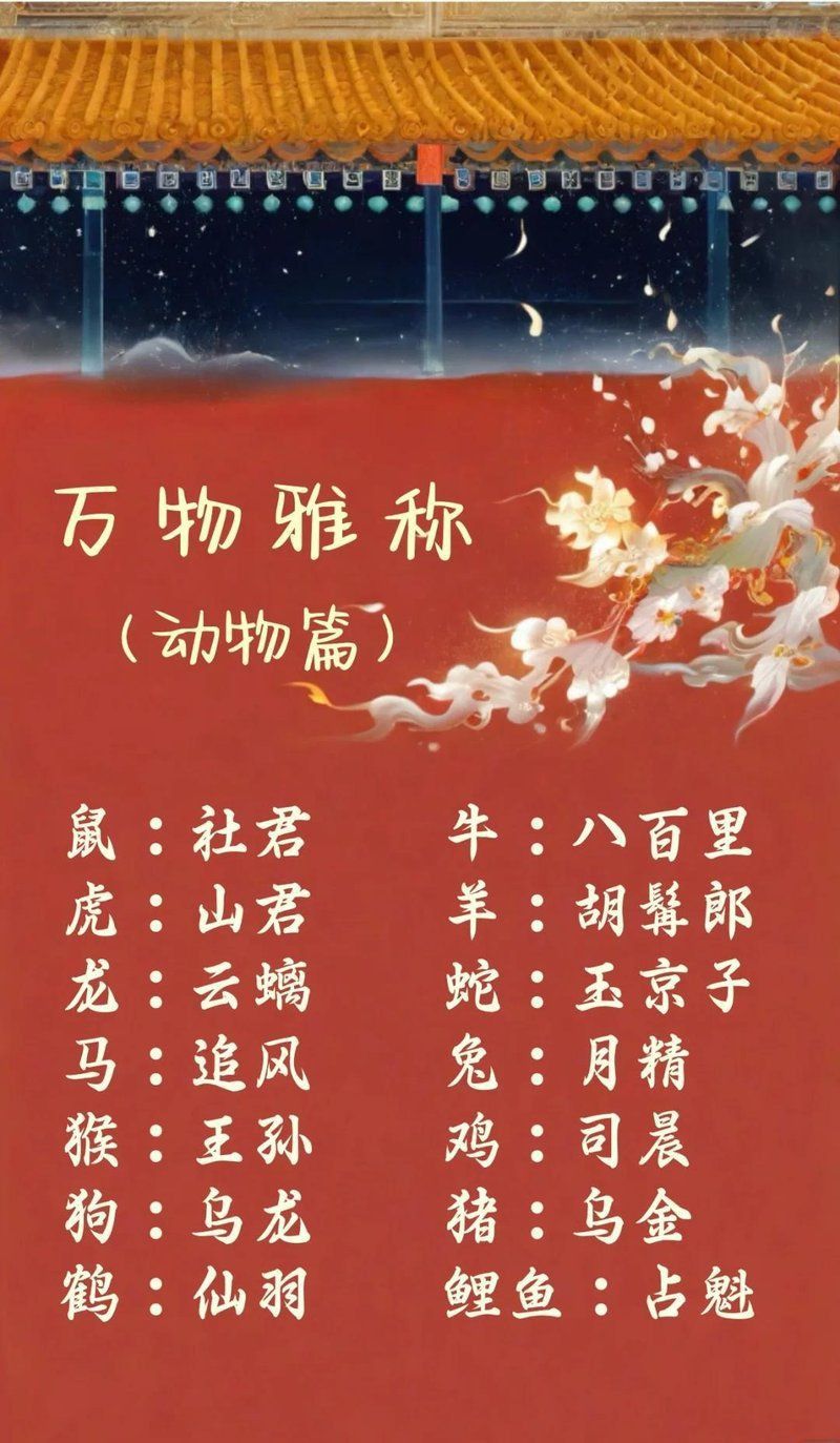 錦鯉的67個雅稱