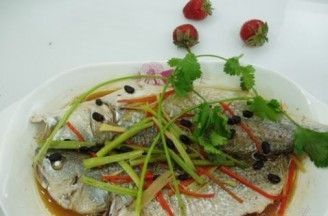 介紹金龍魚的做法作文怎么寫：色香味俱佳的金龍魚菜肴，品嘗美味的金龍魚菜肴