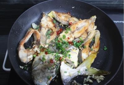 介紹金龍魚的做法作文怎么寫：色香味俱佳的金龍魚菜肴，品嘗美味的金龍魚菜肴