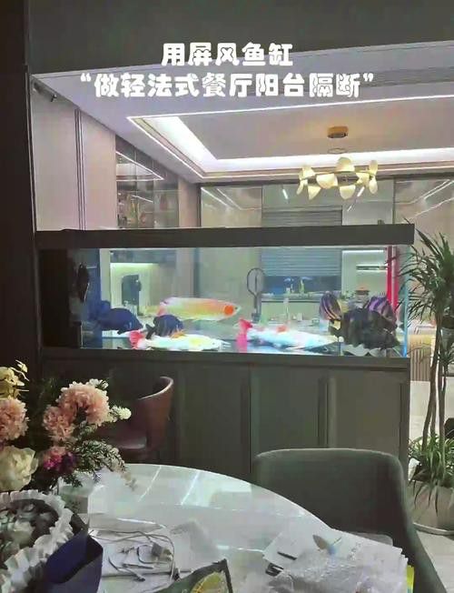 透光屏風缸的價格范圍