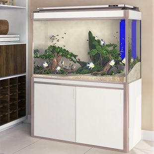 底過濾龍魚缸安裝視頻：龍魚缸安裝視頻