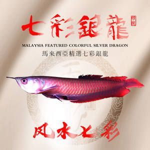 龍魚魚食活魚：關(guān)于龍魚魚食活魚的介紹