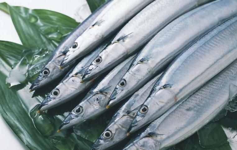 龍王魚長啥樣圖片 龍魚百科 第16張 龍王魚長啥樣圖片 龍王魚長啥樣圖片 龍魚百科 第16張