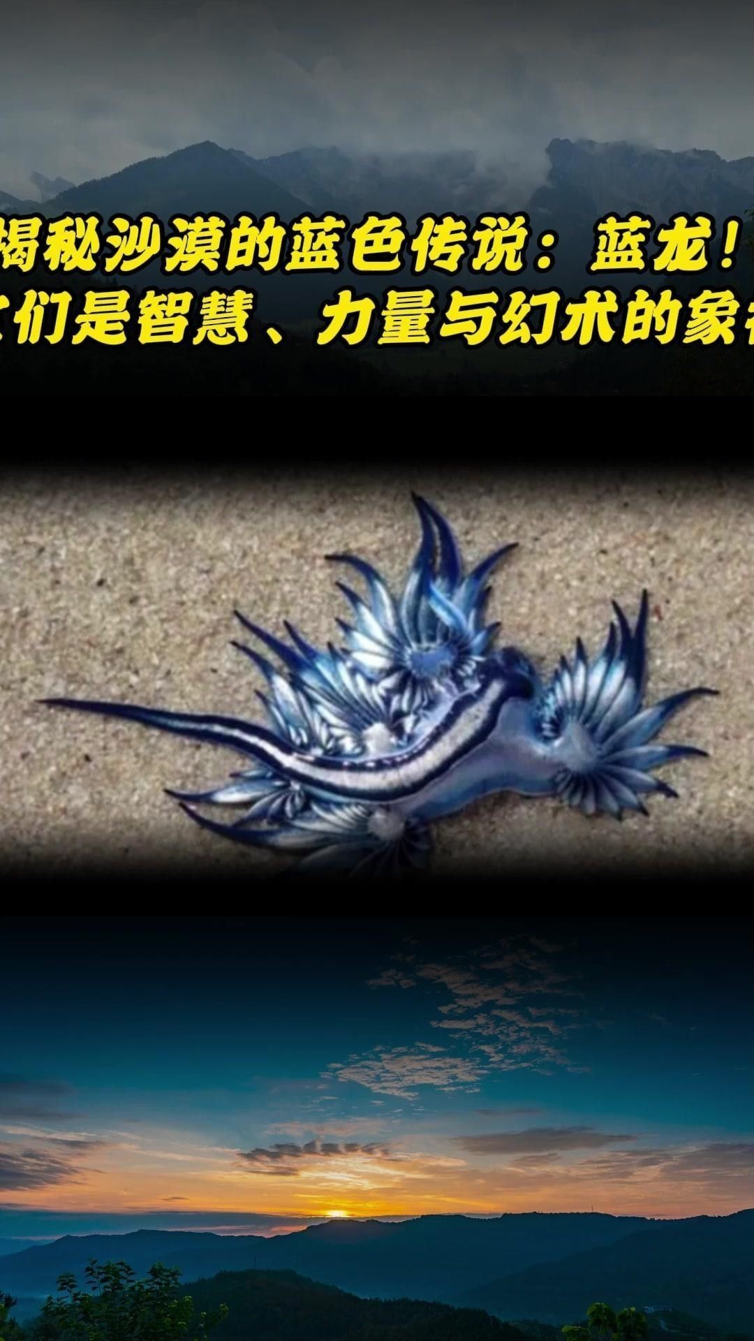 藍龍幻術在哪些故事中描述？