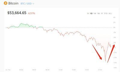 那種龍魚最認人：哪種龍魚最能識別主人