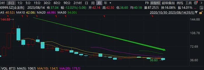 那種龍魚最認人：哪種龍魚最能識別主人