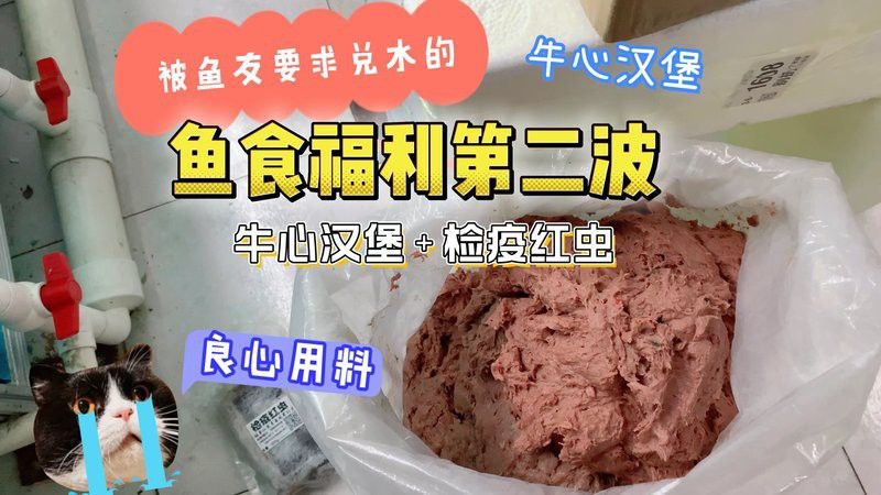 紅龍魚自制牛心漢堡的做法