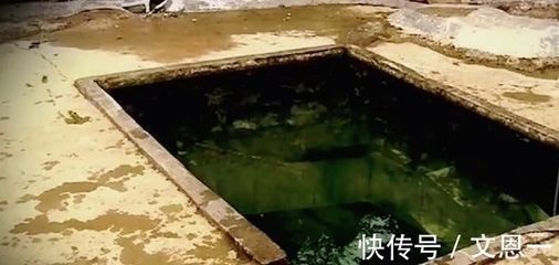 井水可以養龍魚嗎：井水可以養龍魚但需要經過一定的處理步驟和注意事項
