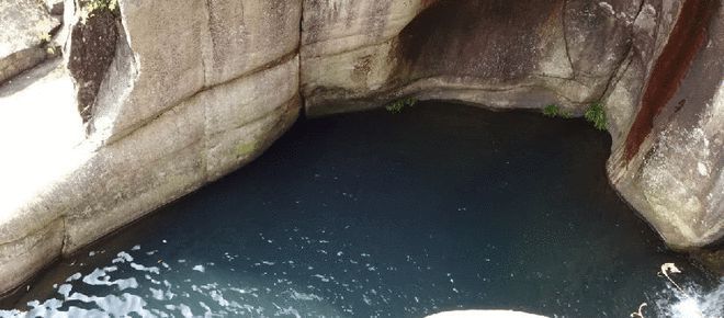 井水可以養龍魚嗎：井水可以養龍魚但需要經過一定的處理步驟和注意事項