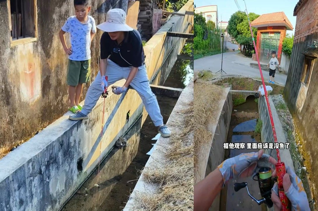 火龍魚在哪里抓