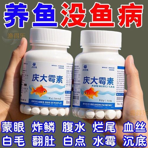 紅龍魚尾鰭爛了怎么辦圖片大全
