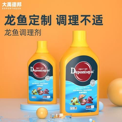 紅龍魚尾鰭爛了怎么辦圖片大全