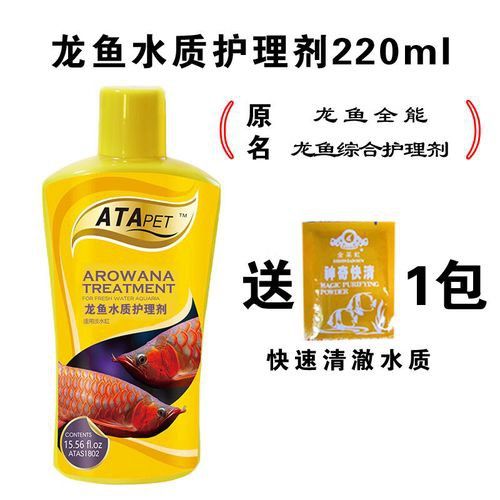紅龍魚尾鰭爛了怎么辦圖片大全