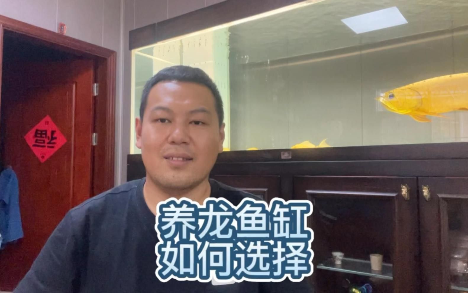 星點龍魚需要多大的魚缸？
