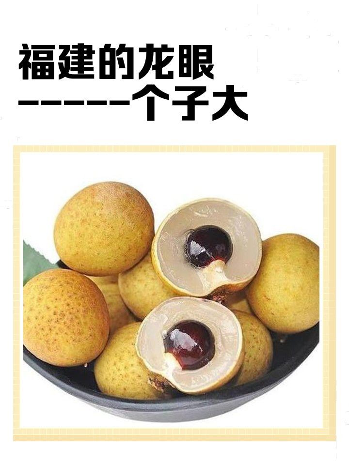 哪些龍眼品種對鬼帚病有抗性？