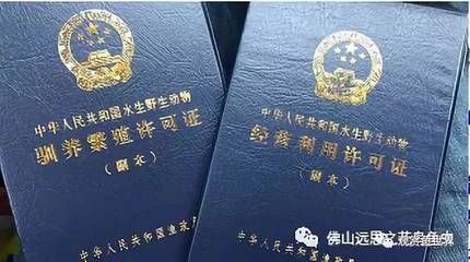 龍魚經營許可證（關于龍魚經營許可證的信息僅供參考并獲取詳細信息）