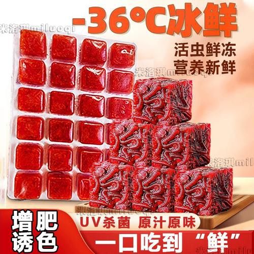 紅色雷龍魚(yú)圖片高清