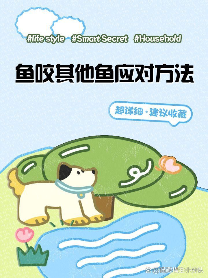 藍(lán)寶石魚咬魚的解決方法