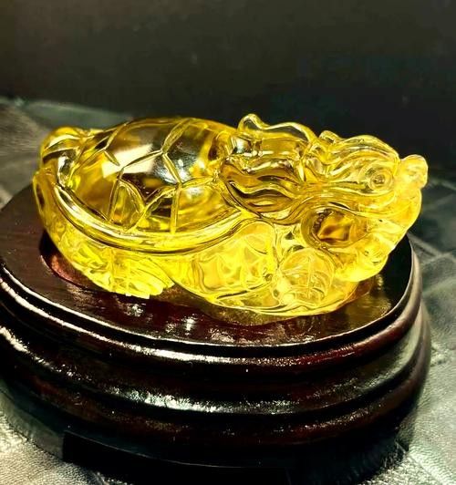 有沒(méi)有不同風(fēng)格的龍龜圖片？