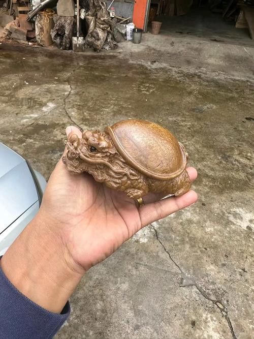 有沒(méi)有不同風(fēng)格的龍龜圖片？