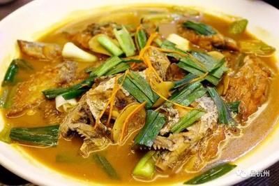 溫州水龍魚（溫州水龍魚是一種什么樣的魚？）