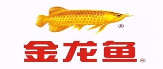 金龍魚會吃多撐死嗎：金龍魚不會因為吃得多而撐死嗎，金龍魚會吃多撐死嗎