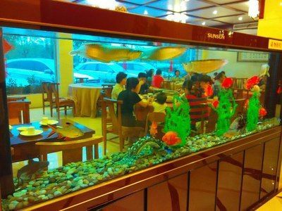 龍魚自助餐：\"龍魚自助餐\"
