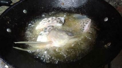 龍魚炸缸（龍魚炸缸,龍魚炸缸是指龍魚在魚缸內出現異常激烈的行為）