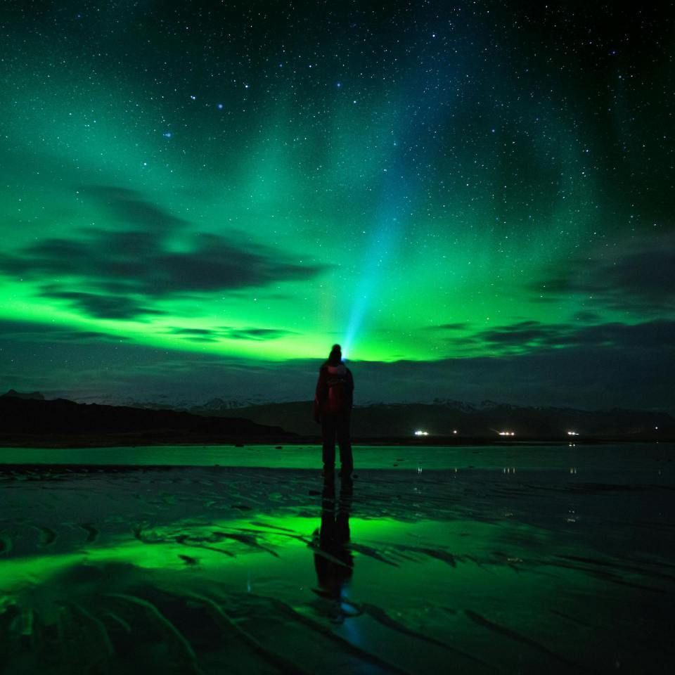 錦鯉是青龍化身