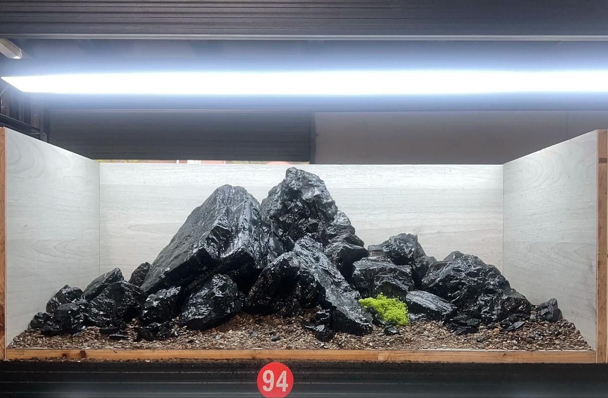 哪些品牌魚缸適合黑底透光