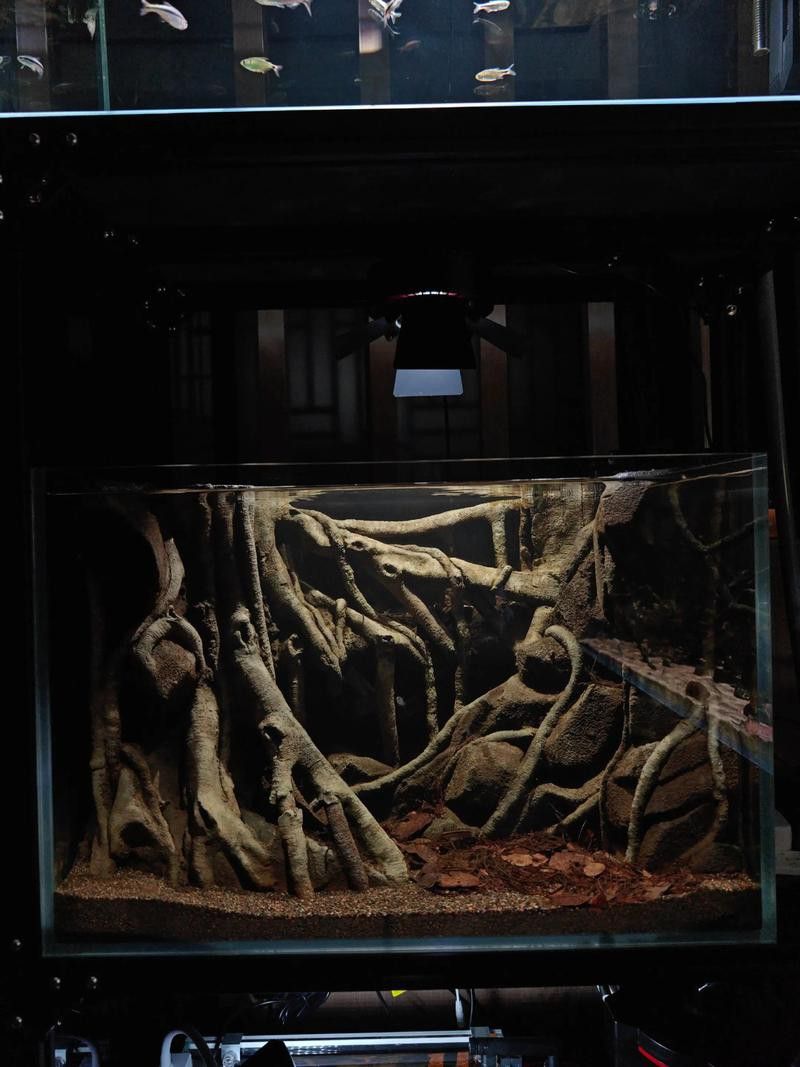 哪些品牌魚缸適合黑底透光