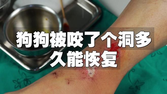 龍魚咬傷后多久會好轉？
