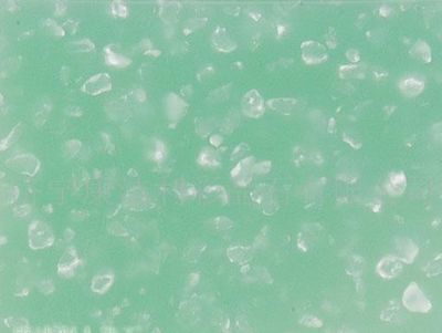 紅龍魚怎樣辨別好壞：如何判斷紅龍魚好壞