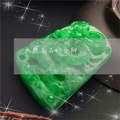 紅龍魚怎樣辨別好壞：如何判斷紅龍魚好壞