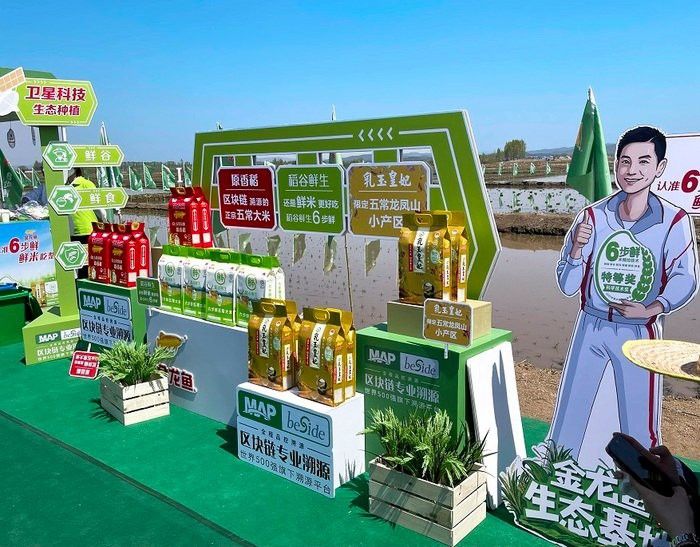 金龍魚還有哪些專利技術(shù)？