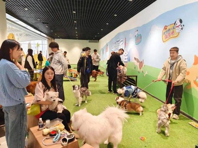 有沒有小龍魚社交行為的gif圖？