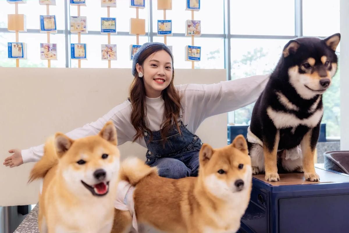 有沒有小龍魚社交行為的gif圖？